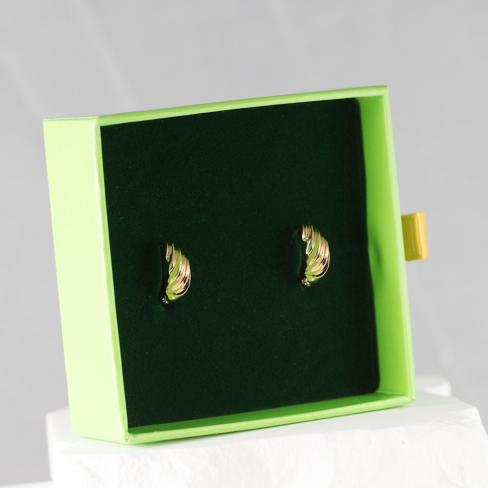 Riņķīšu auskari 'SANIJA'