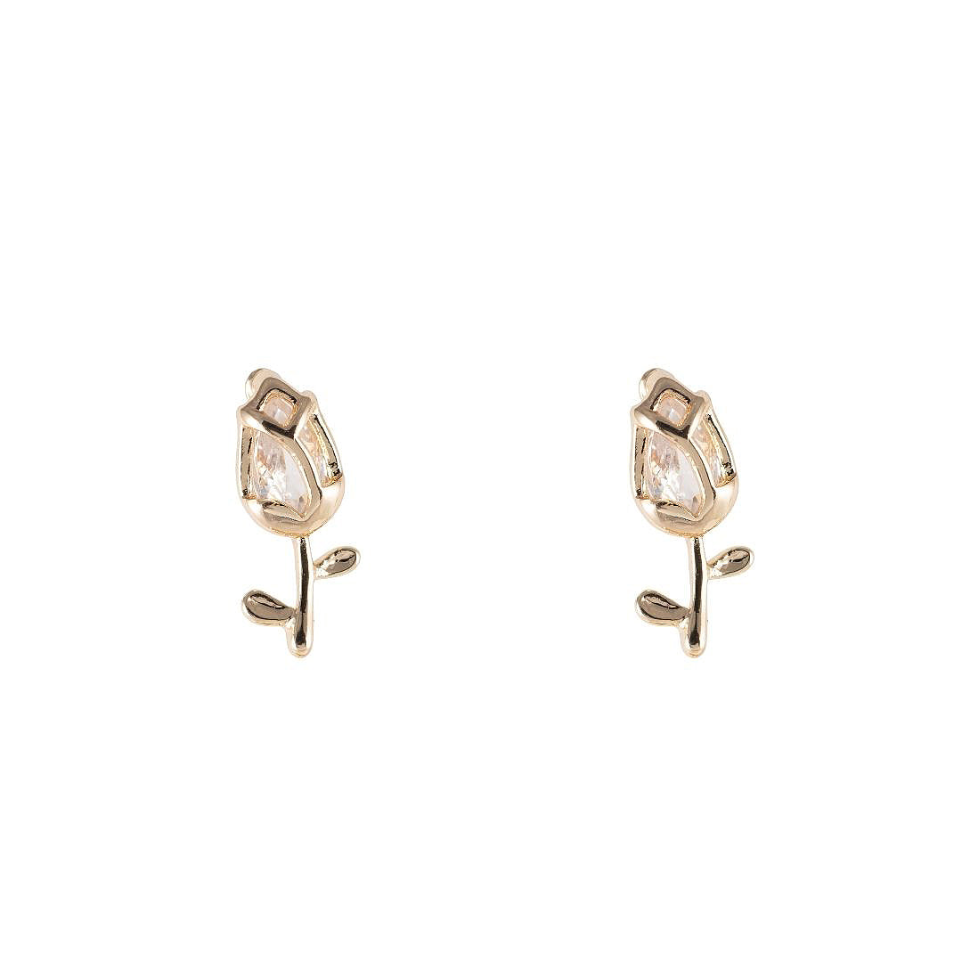 Smalki nagliņauskari 'ENIJA'